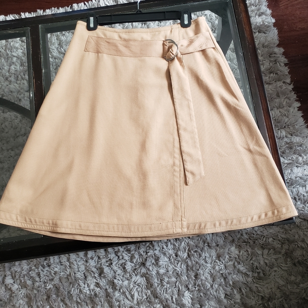 Ann Taylor skirt